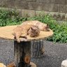 暇つぶし 的头像