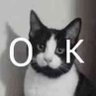 Bingo's profile picture