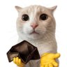 Profilbild von 🐈🐈