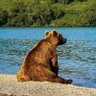 Contemplative River Bear🔻 profil fotoğrafı