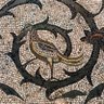 mosaic_bird's profile picture