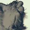 Liquidity Lens's profile picture