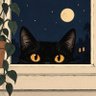 Profilbild von 窗边小黑