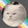 Profilbild von ╶⃝⃤ AkikoKat🦴