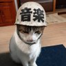 Фото профиля ELねことうちゃん
