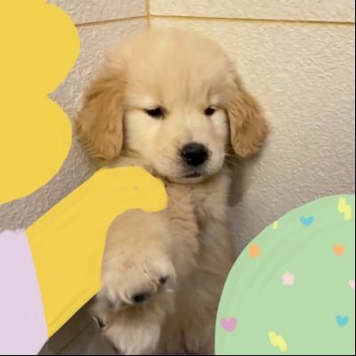 𝘵𝘢𝘵𝘢𝘳 ⋆🎧ྀི's profile picture