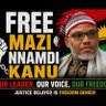 Onye Igbo,Biafra.'s profile picture