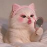 Profilbild von strawberry_shawt𝒌𝒂𝒕𝒆s ʚ𑣿ɞ