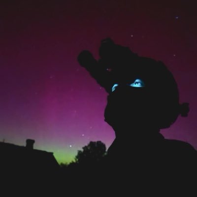 shitlibtribal's profile picture