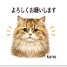 Фото профиля このたんママ 🐱