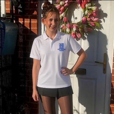 UK chavs and schoolfights's profile picture