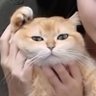 Mr.Fan's profile picture