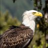 Freedom Warriors's profile picture