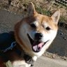 みあ 的头像