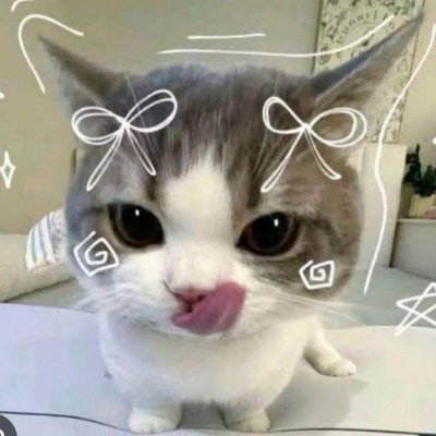 ecaa nott acaa's profile picture