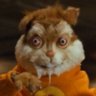 Profilbild von asaeinter