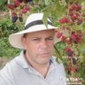 Фото профиля José Luis campesino de Santander