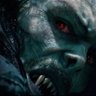 Ardra Whitney's profile picture