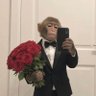 Profilbild von sic