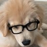 mary's profile picture
