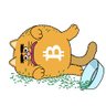 BITCAT profil fotoğrafı