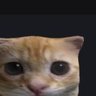 Chad's profile picture