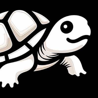 龜龜底迪🐢's profile picture