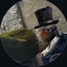 Aiden's profile picture