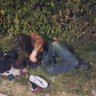 Profilbild von Barış
