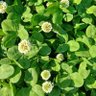 Фото профиля ミミー🍀
