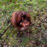 stormie's profile picture