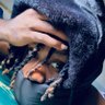 谢德瑞🐦🔥's profile picture