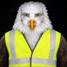 AbdelZark Al Markaoui's profile picture