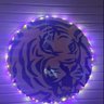 Bcflash's profile picture
