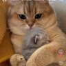 Rare 的头像