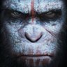EdiSolo's profile picture