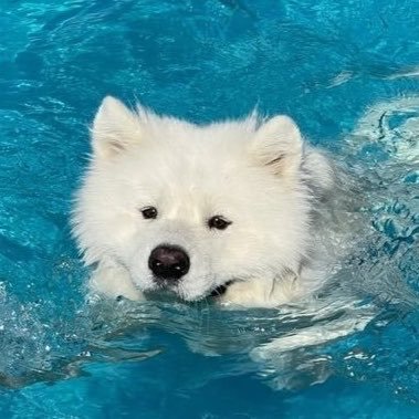 Bbun's profile picture