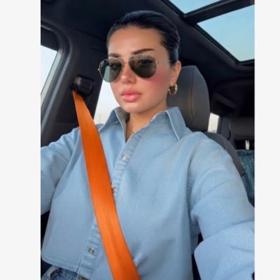 RaghdaFakhry's profile picture