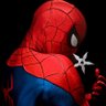 Profilbild von Mr. Spidey