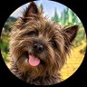 Little Toto's profile picture