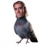 ؘ's profile picture