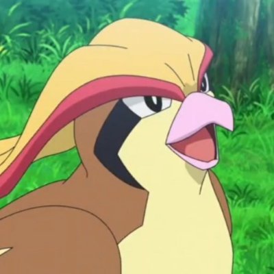 Ot_Pidgeot's profile picture