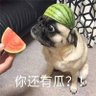 瓜田守夜人|Gua Night profil fotoğrafı