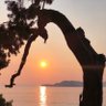 Thomas Stany profil fotoğrafı
