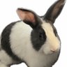 Profilbild von Jex 