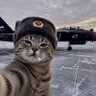 Daxe's profile picture