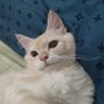 Rosalis profil fotoğrafı