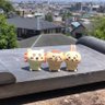 酒だ酒だ酒をもって来い 的头像