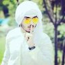 ابومروان الكور 的头像