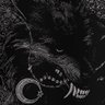 StealinYoShoes 710's profile picture